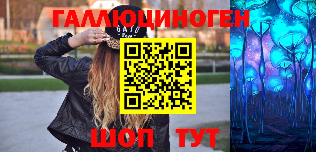 Псилоцибиновые грибы Psilocybe Шахты