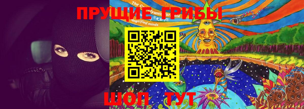 Шахты  Псилоцибиновые грибы прущие грибы  Вход с VPN 