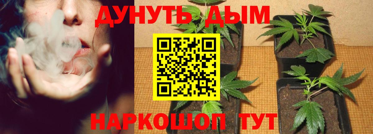 Бошки Шишки White Widow Шахты